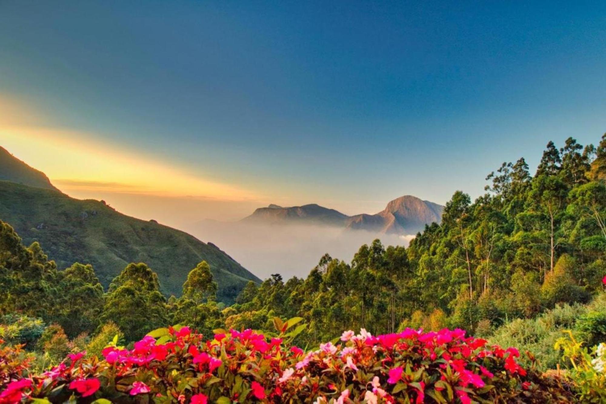 Chandys Drizzle Drops - Munnar Top Station Zewnętrze zdjęcie